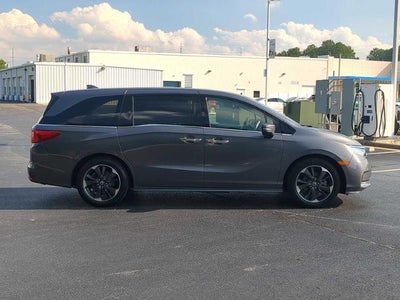 2024 Honda Odyssey Elite