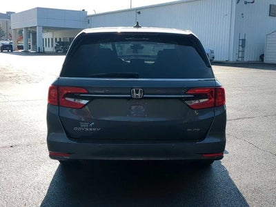 2024 Honda Odyssey Elite